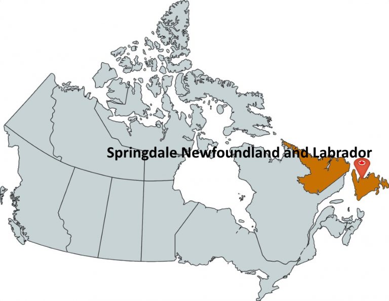 Where is Springdale Newfoundland and Labrador?