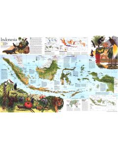 Indonesia Theme Published 1996 Map