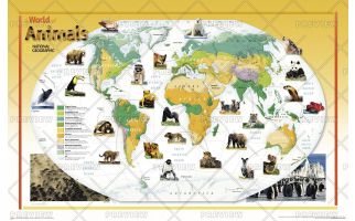 World of Animals  -  Published 2004
