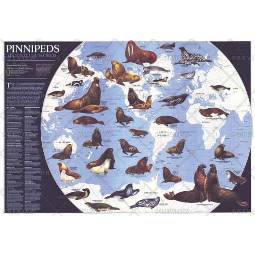 Pinnipeds Around The World Published 1987 Map