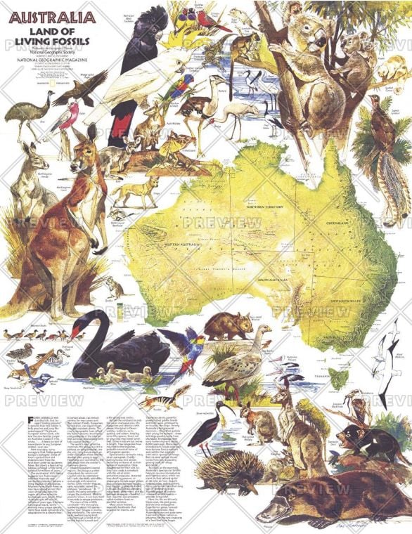 Australia Land Of Living Fossils Published 1979 Map