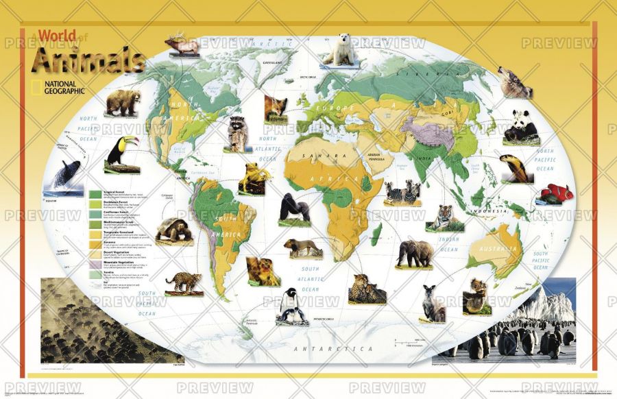 World Of Animals Published 2004 Map