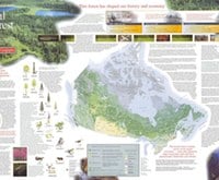 Boreal Forest Map